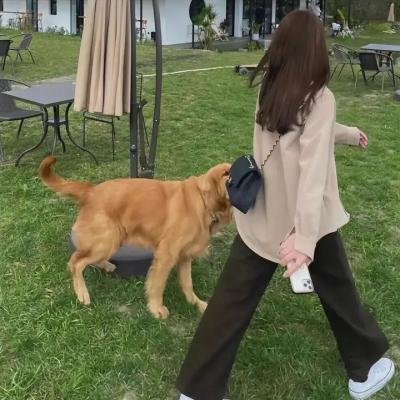 你不该杀人